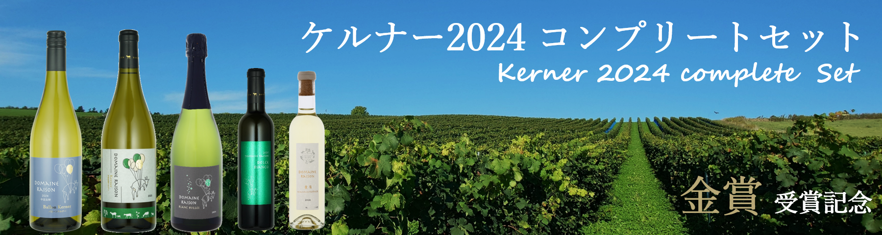 ケルナー２０２４コンプリートセット